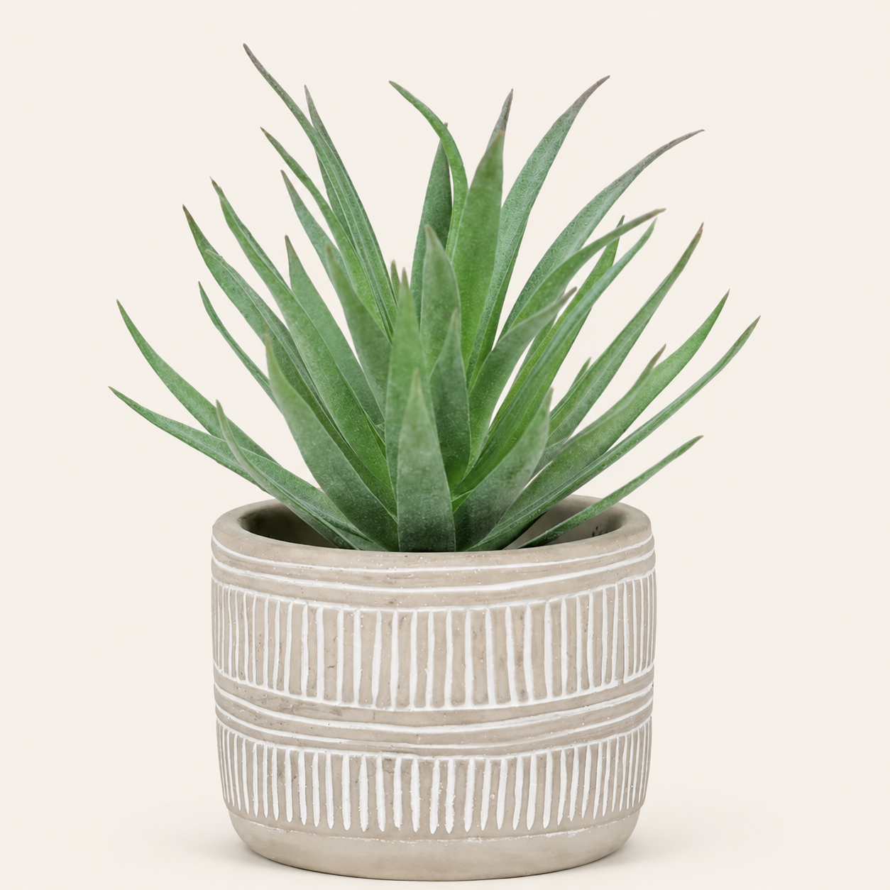 Artificial Succulent Plant